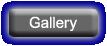 Project Gallery
